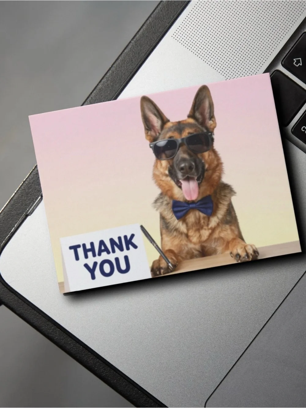 Funny German Shepherd Thank You Cards Set of 15 4x6 Dog Cards with Envelopes